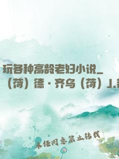玩各种高龄老妇小说